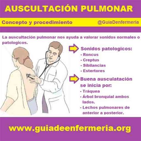 Guia Para Descrever Ausculta Pulmonar Normal De Forma Precisa