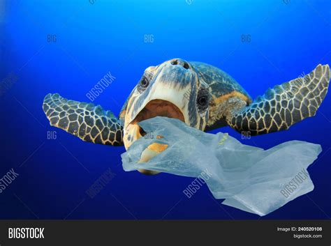 Plastic Pollution Image And Photo Free Trial Bigstock