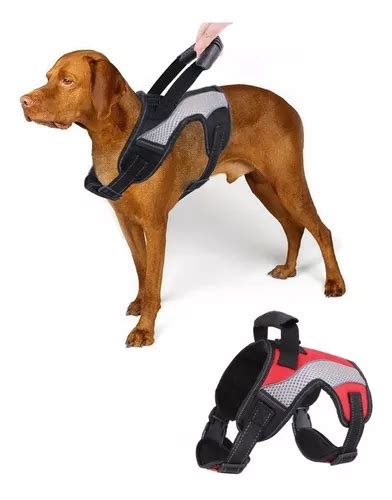 Arn S Pretal Pechera Para Perro Mascota L Xl Ajustable Cuotas Sin