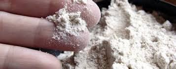 How to Use Diatomaceous Earth for Fungus Gnats and Crawling Insects: S – The Rusted Garden