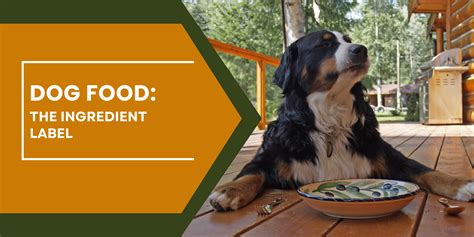 Dog Food: The Ingredient Label | German Shepherd Place