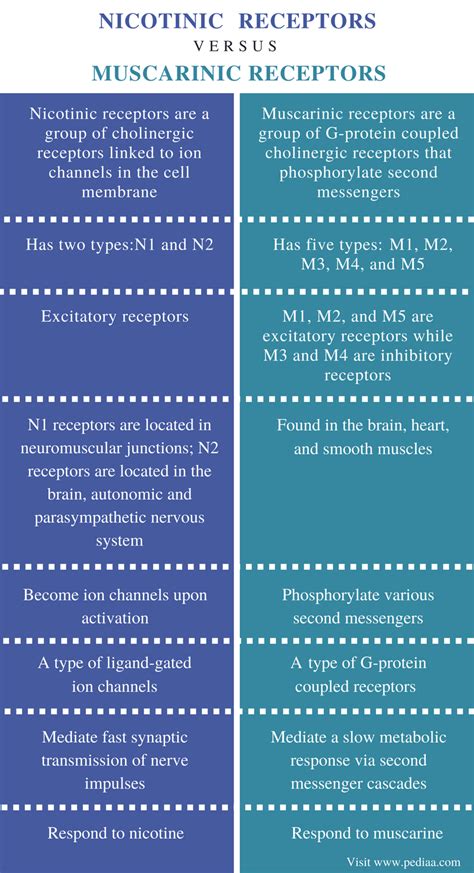 Difference between nicotinic and muscarinic receptors definition facts ...