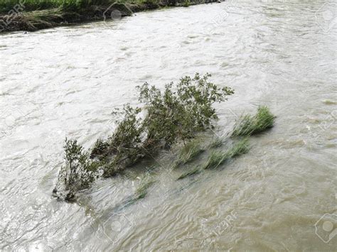 Qué significa soñar con un río crecido Descubre la interpretación de