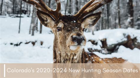 Colorado S 2020 2024 New Hunting Season Dates Soap Mesa Outfitters