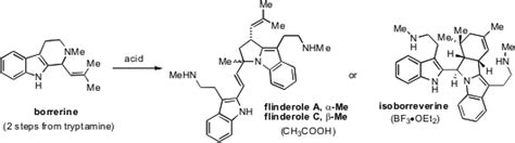 Alkaloid Synthesis Indolizidine 207a Shenvi Acetylaranotin