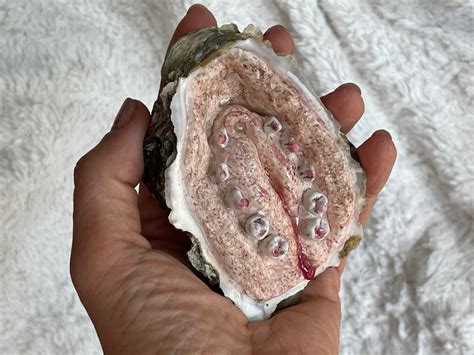 Pussy Oyster Etsy