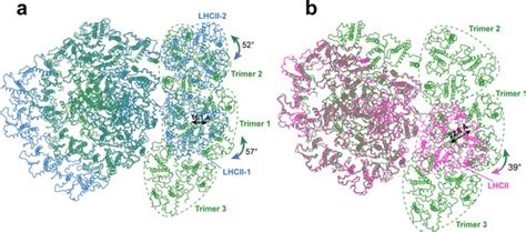 The Photosystem I Supercomplex From A Primordial Green Alga