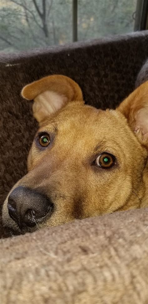 He actually thought for a moment I couldnt see him behind the pillow