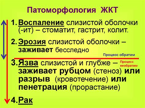 Лекарственные средства, применяемые при заболеваниях ЖКТ - online ...