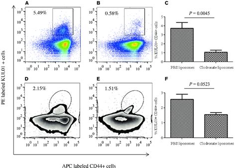 Flow Cytometry Analysis Of Spleen And Lung Mononuclear Cells From