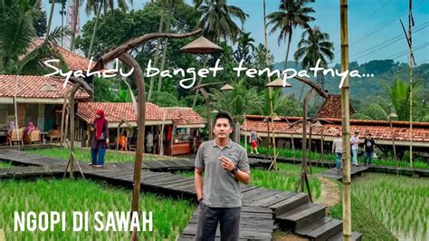 NGOPI DI SAWAH Syahdu Banget Tempat Nya YouTube