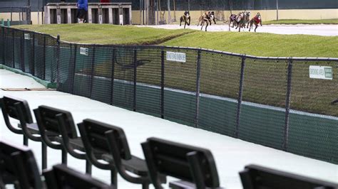 Palm Beach Kennel Club resumes live racing - without spectators