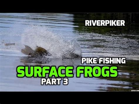 Pike Fishing With Surface Frogs Topwater Blow Ups Video Youtube