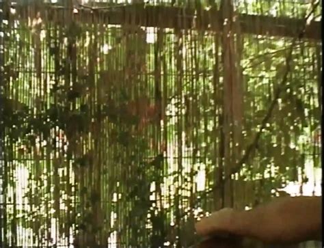 Tromb Scopate All Italiana Full Original Version Story Porn Xhamster