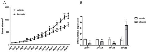 Cancers Free Full Text Sex And Female Age Dependent Differences In