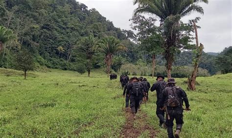 Policía Nacional Civil erradica plantaciones de hoja de coca Agencia