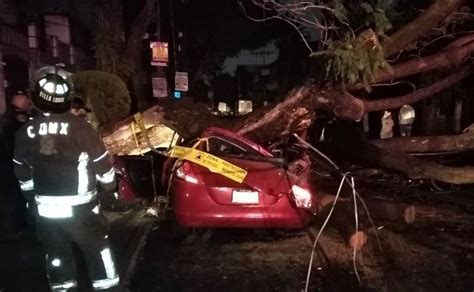 Mujer muere prensada tras caerle árbol encima en la alcaldía Benito