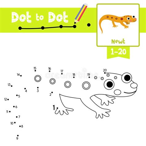 Dot To Dot Educational Game And Coloring Book Eastern Red Spotted Newt