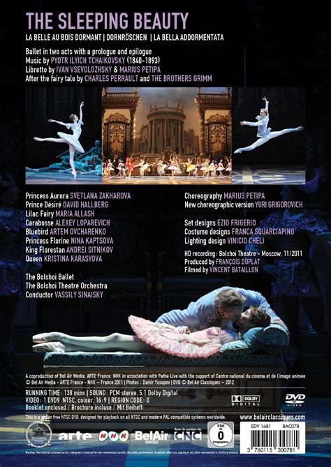 Sleeping Beauty Poster 2011