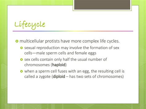 Protists Protists Are Very Diverse Ppt Download