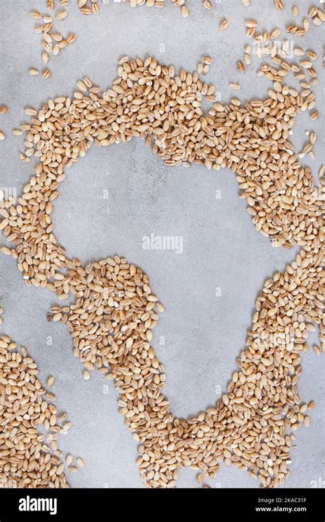 Global Food And Grain Crisis African Continent Shaped In Grain On A