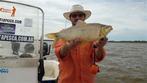 Guia De Pesca En Berisso Altapesca Van Llegando Las Reinas A Berisso