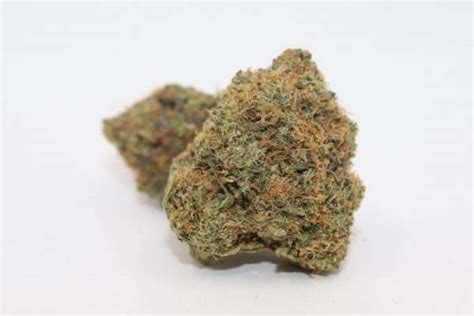 Super Silver Haze - Haze Delivery