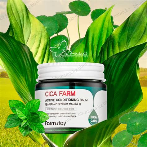 Архив - Cica Farm Active Conditioning Balm [FarmStay] | bb-mania.kz