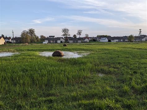 Wyłączenie małych gospodarstw z ekoschematów i stawka za nowy