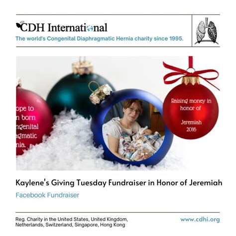 Kaylenes Giving Tuesday Fundraiser In Honor Of Jeremiah Fundraising