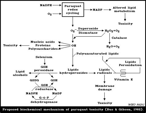 Weider blog: glutathione peroxidase