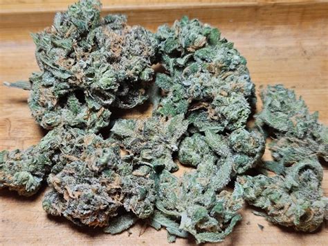 12 Best Sativa Seeds: Top Strains for Bright & Energetic Days ...