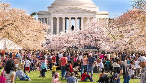 Primavera Nos Estados Unidos - Festivales de primavera en Estados Unidos