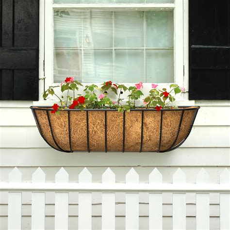 How To Plant Window Boxes Easy Steps To Create A Beautiful Display