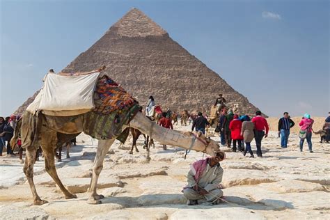 Tripadvisor Ganzt Gige Private Tour In Der Zitadelle Der Pyramiden