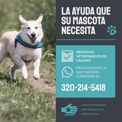 Banner Personalizable Para Tu Servicios Veterinarios Veterinaria