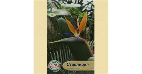 Семена на Стрелиция