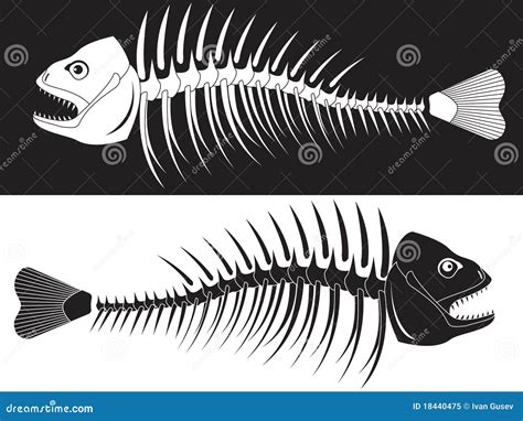 Skeleton Of Fish Royalty Free Stock Photo Image 18440475