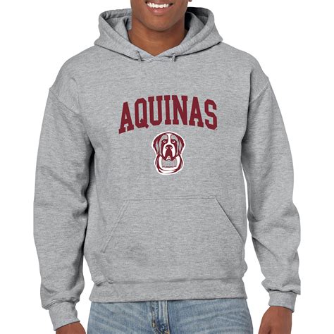 Aquinas College Saints Arch Logo Heavy Blend Hoodie - Sport Grey ...