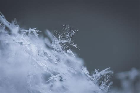 Premium Photo Close Up Of Snowflakes