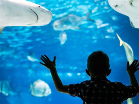 Everything you must understand about hotpads los angeles features 18