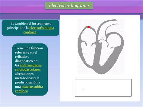 Electrocardiograma PPT Descarga Gratuita