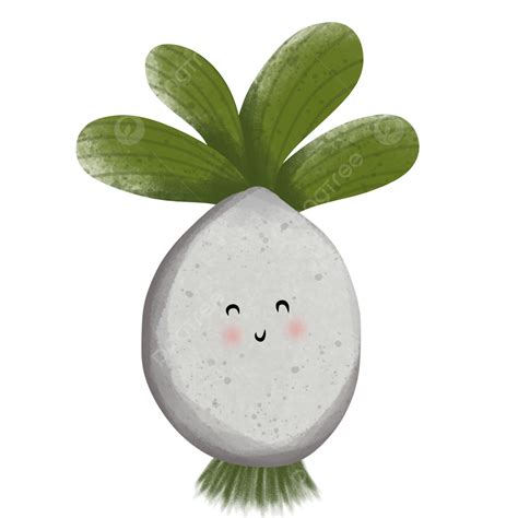 Radish Cartoon Radish Cartoon Garden Png Transparent Clipart Image