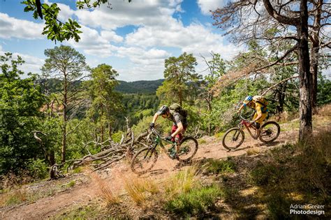 Geführte Mountainbike Touren durch den Thüringer Wald Radstube