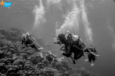 Diving in Hurghada Prices | Course Prices Diving Star Egypt