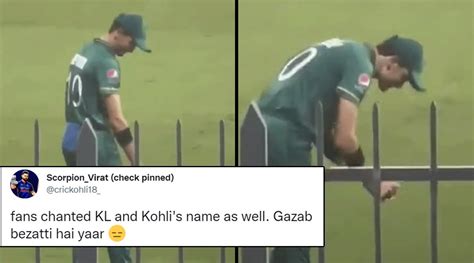 T20 World Cup 2021 Shaheen Afridi Reenacts How Kohli Rohit And Rahul