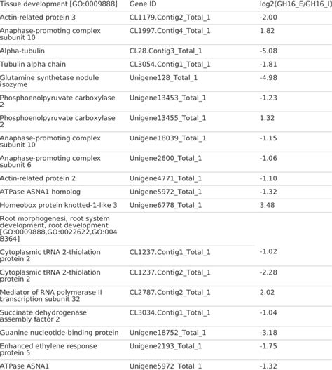 Functional Classification And Pathway Assignment Of Differentially