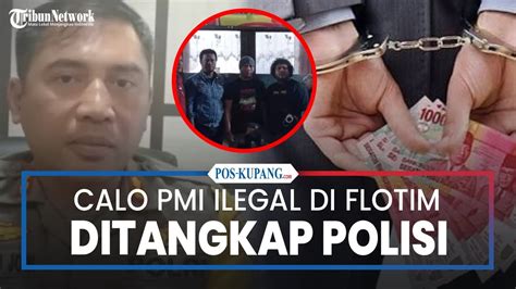 Polisi Tangkap Calo Perekrut Pekerja Migran Ilegal Di Flores Timur