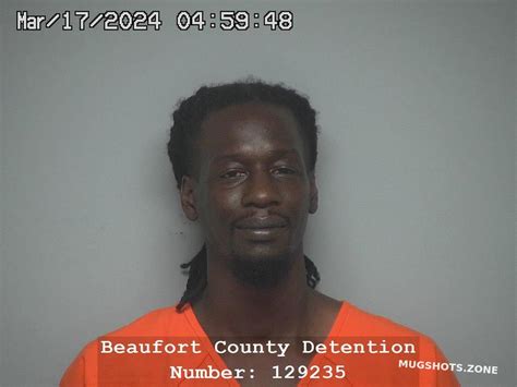 Dane Ince 03 17 2024 Beaufort County Mugshots Zone