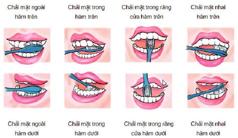 Đánh răng đúng cách và những lưu ý trong khi đánh răng